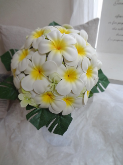 plumeria001.jpg