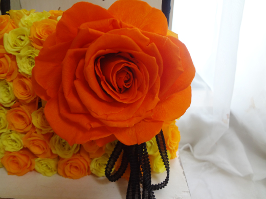 pu-princess007image.jpg